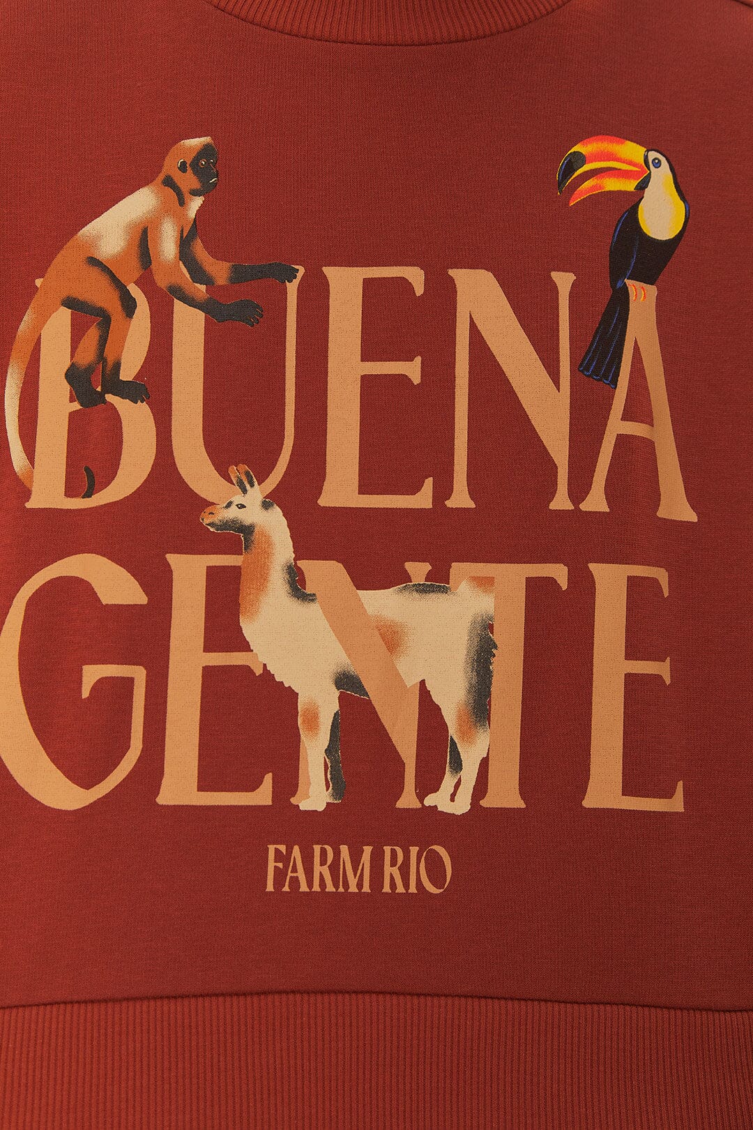 Brown Buena Gente Sweatshirt - Image 4