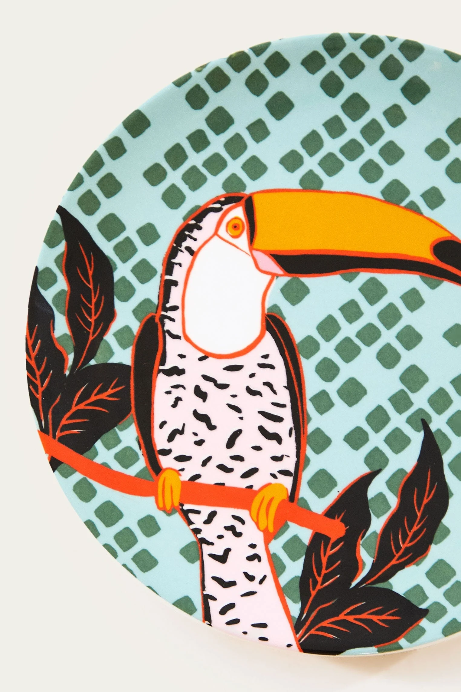 Toucan Plate - Image 4