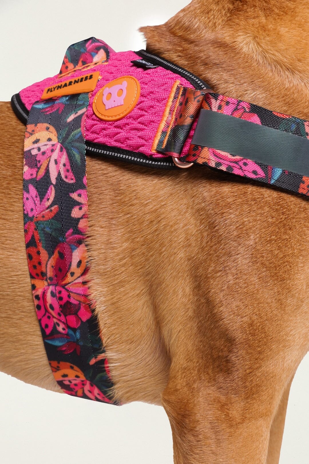 Zeedog Farm Onca Flyharness - Size 3 - Image 6