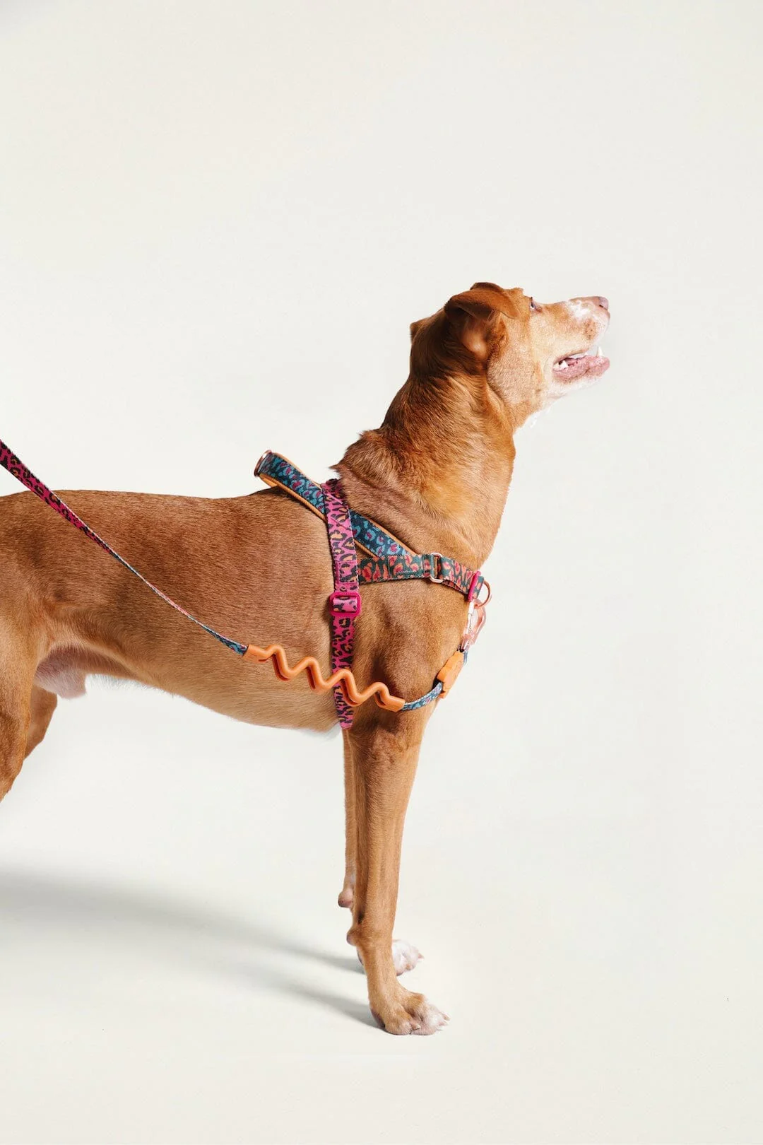 Zeedog Farm Onca Softer Walk - Size M - Image 3