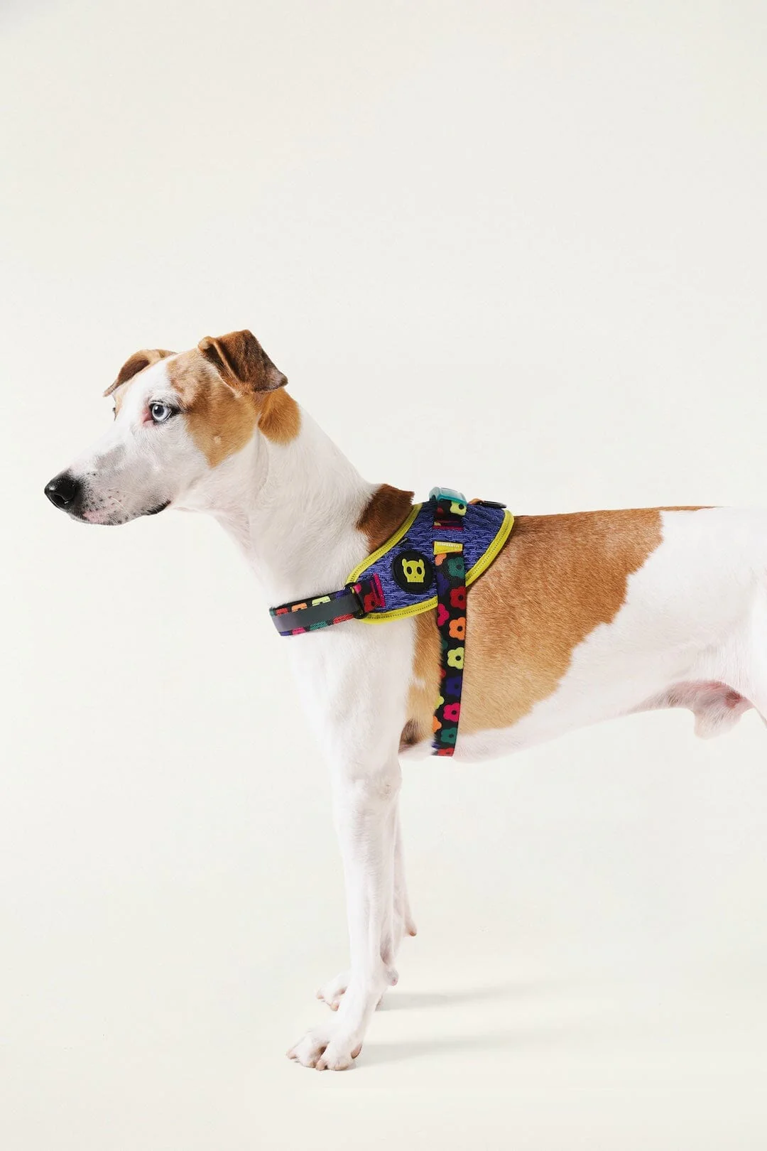 Zeedog Farm Samba Flyharness - Size 3 - Image 5
