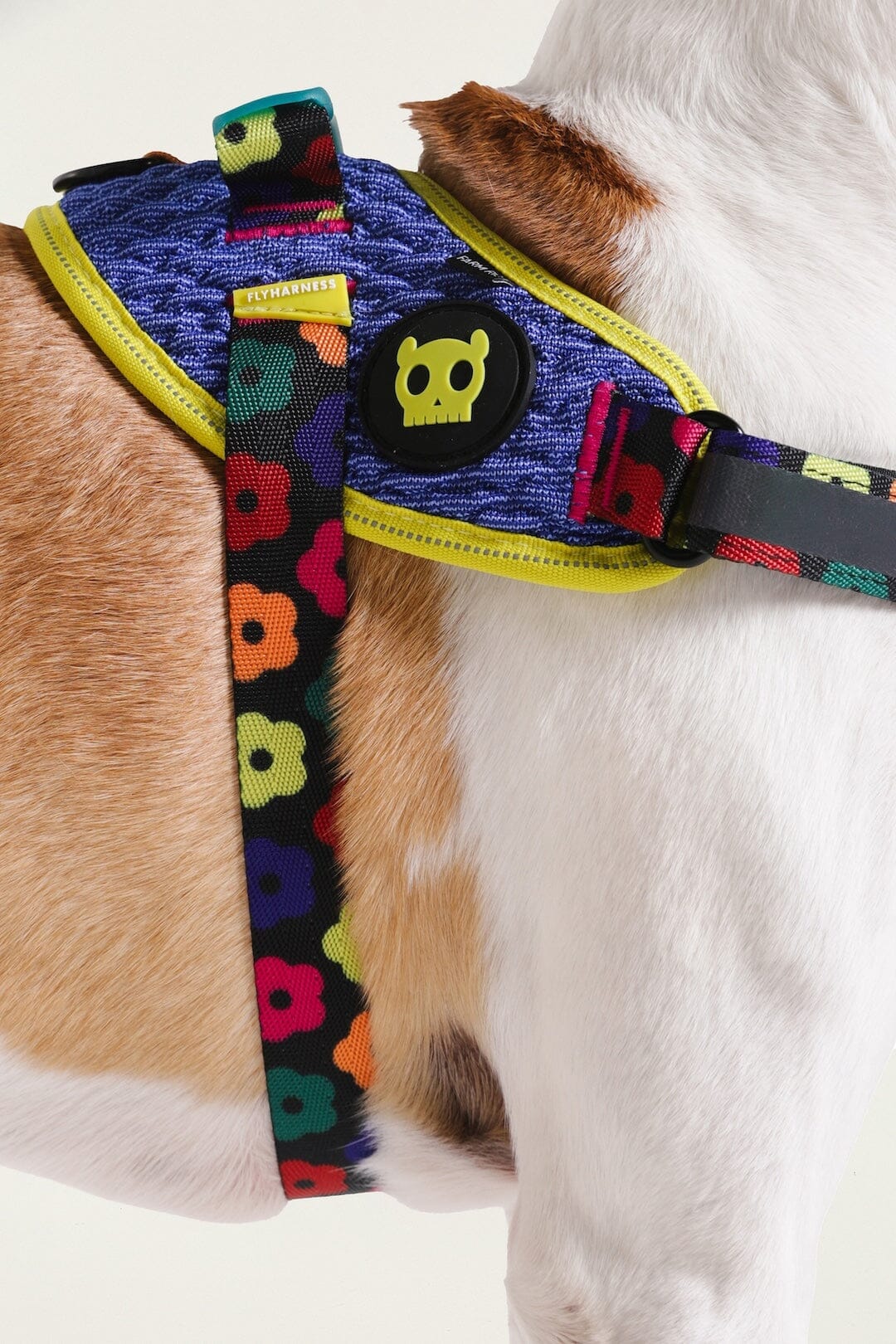 Zeedog Farm Samba Flyharness - Size 3 - Image 6
